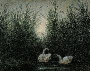 Caspar David Friedrich Schwane im Schilf oil painting artist